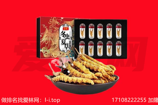 海西虫草回收
