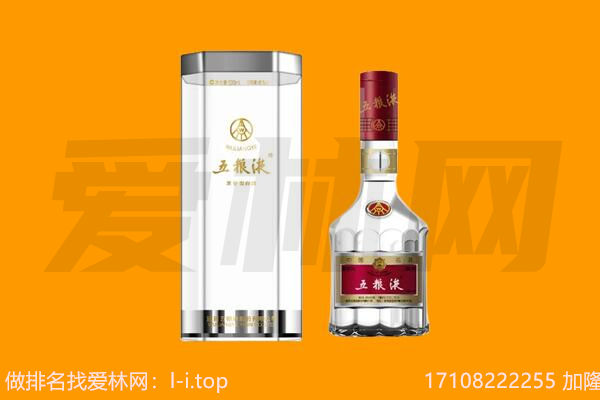 海西五粮液回收